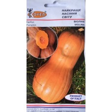  Гарбуз Виолина 2г